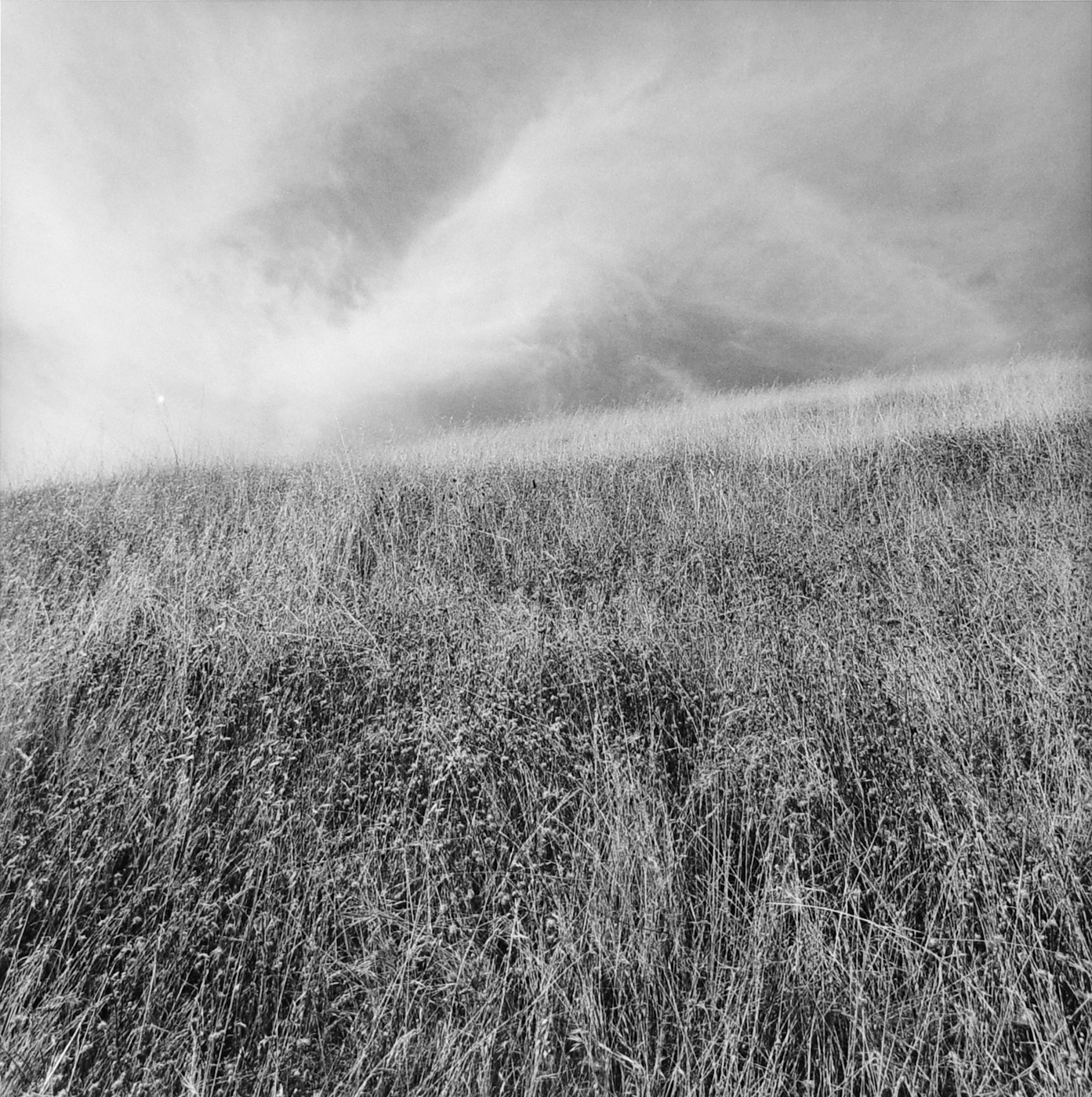 Lee Friedlander, from Western Landscapes