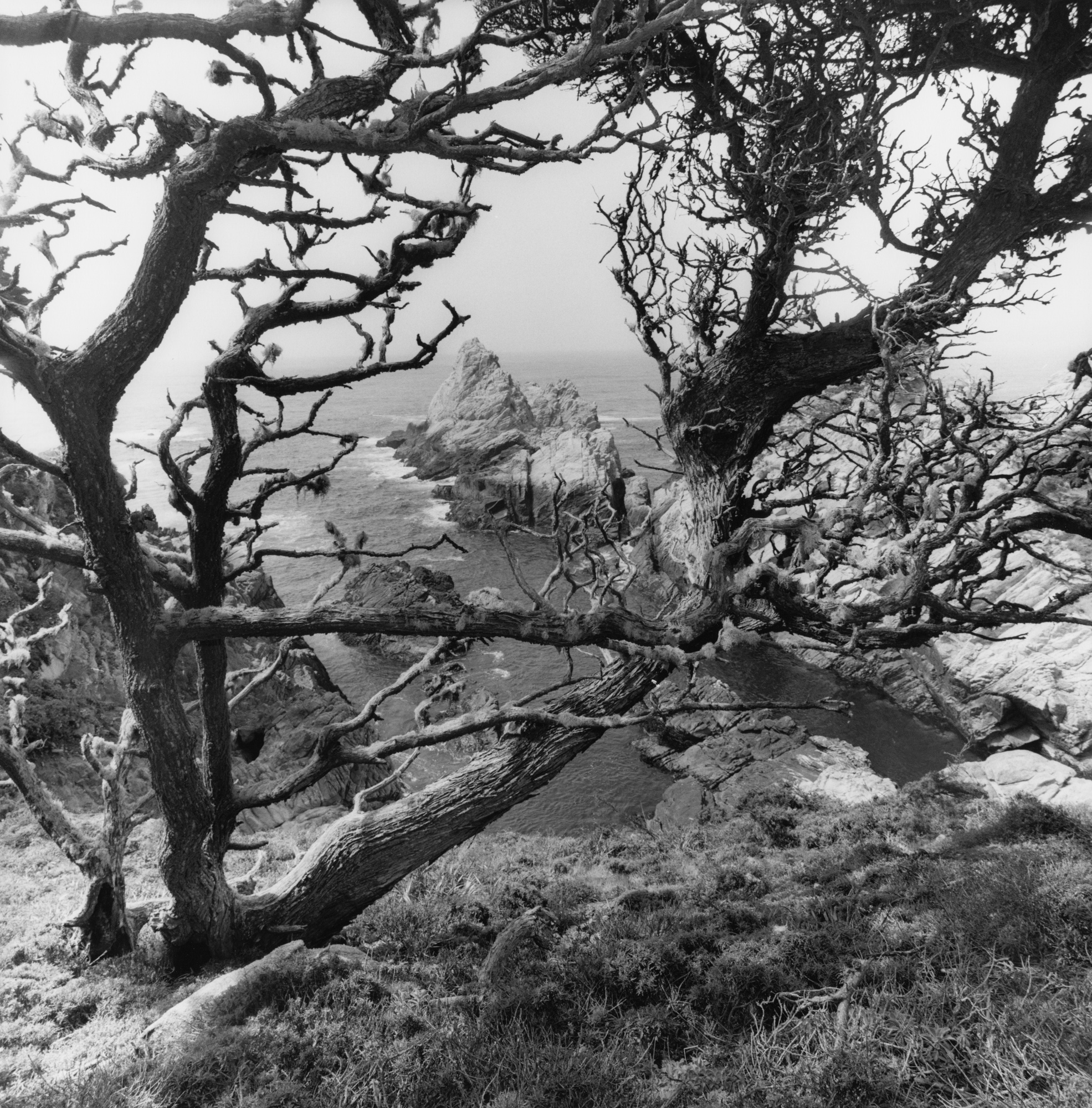 Lee Friedlander, from Western Landscapes