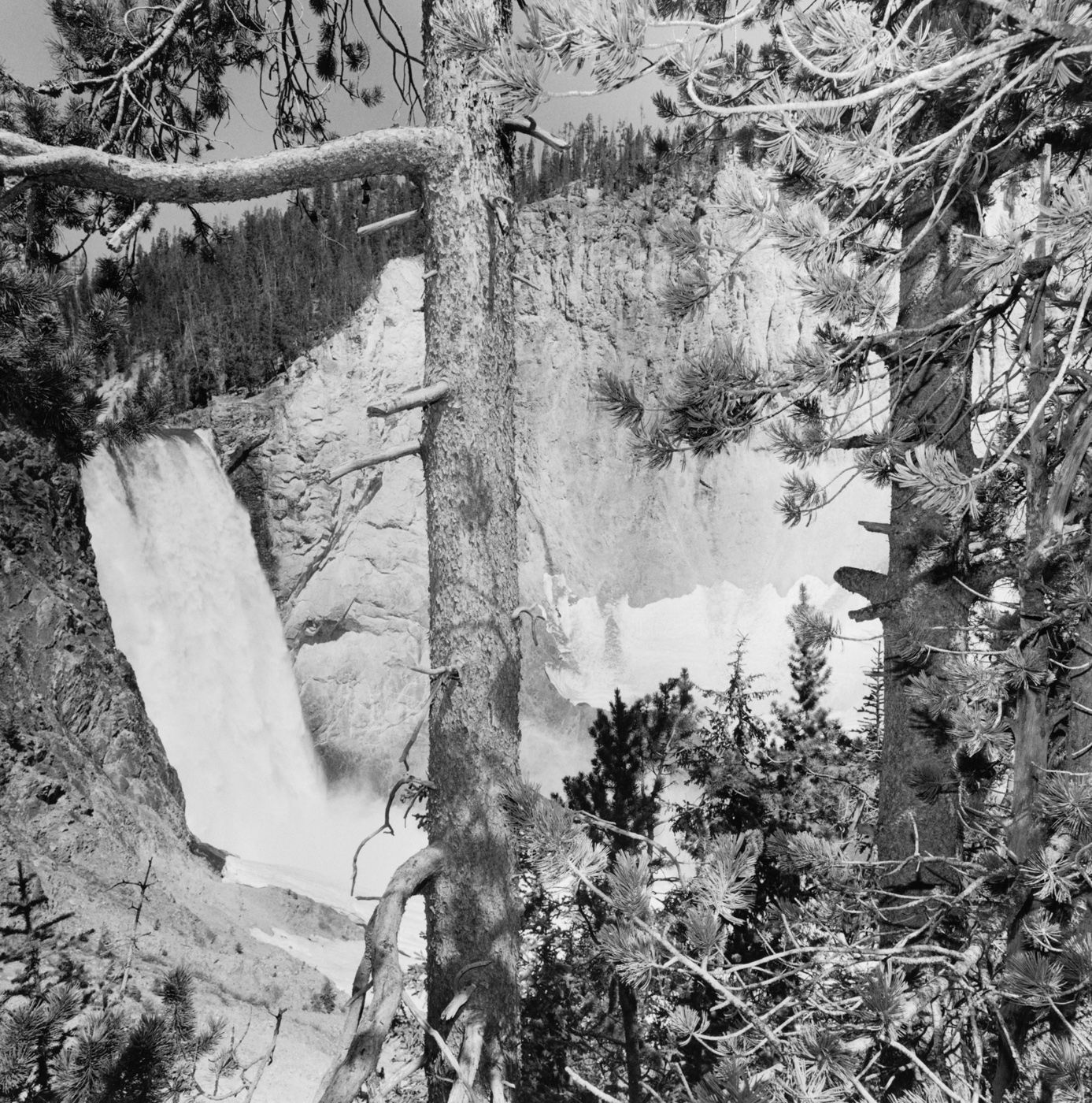 Lee Friedlander, from Western Landscapes