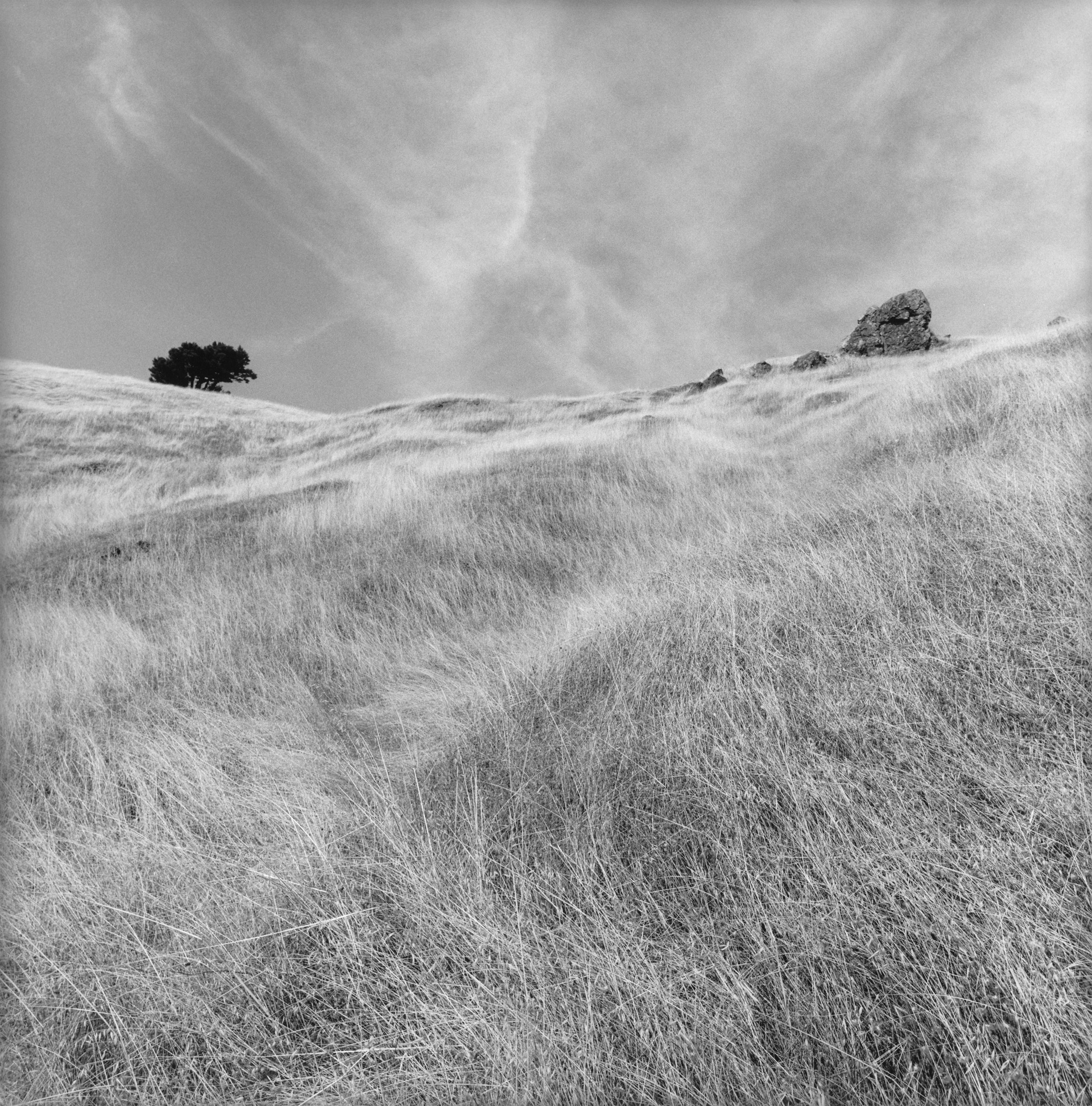 Lee Friedlander, from Western Landscapes