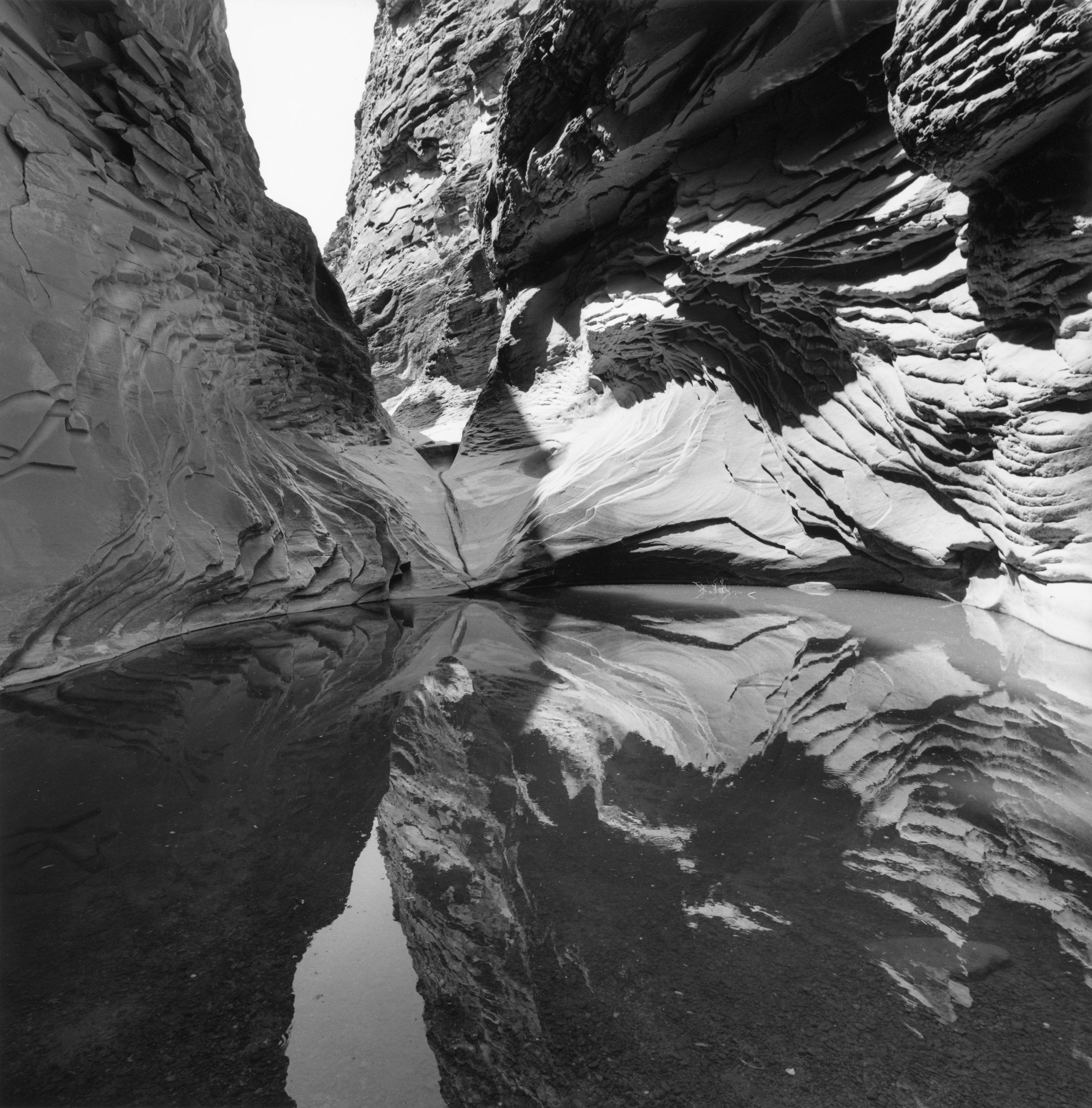 Lee Friedlander, from Western Landscapes